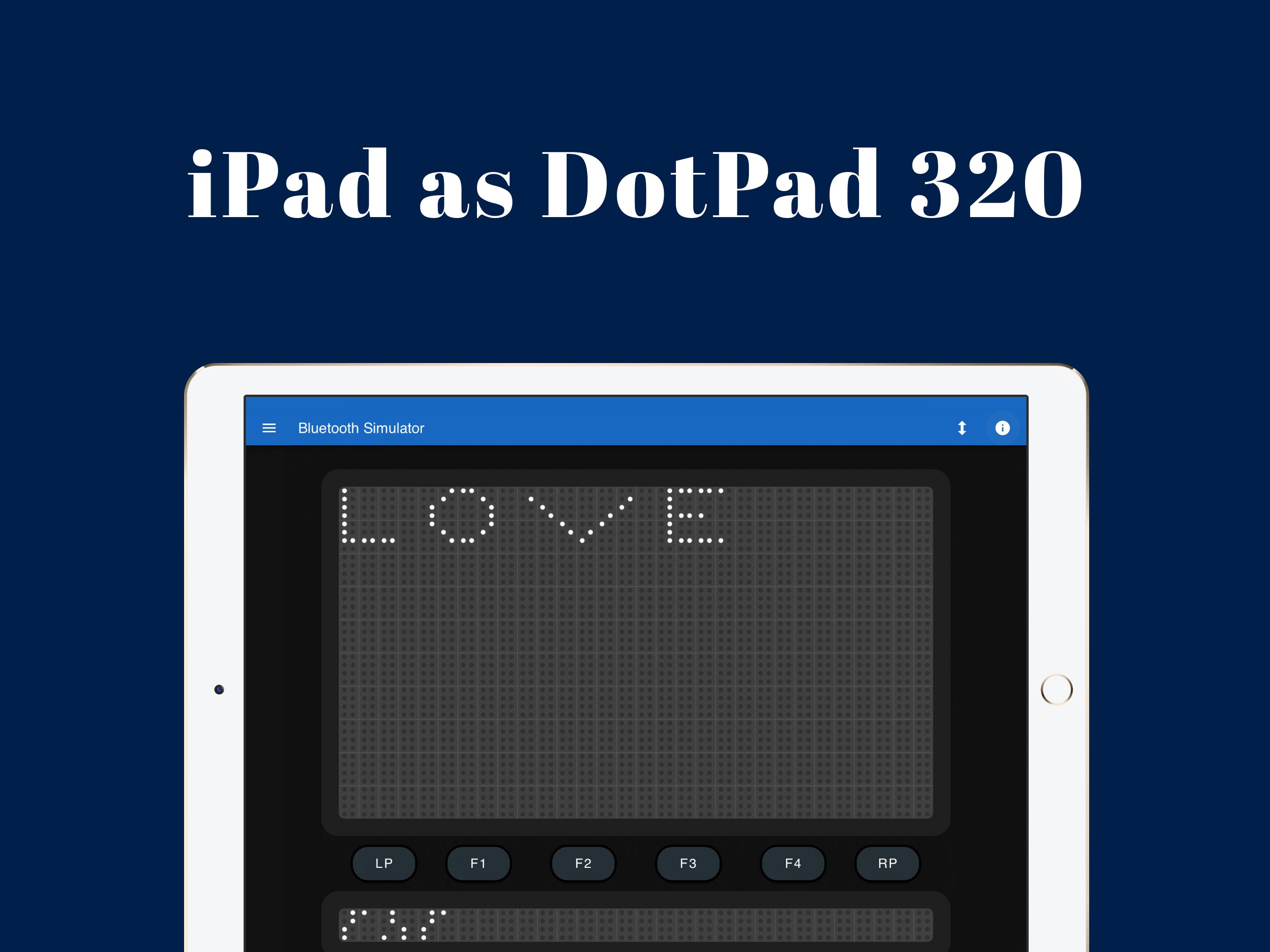Simulate as DotPad 320